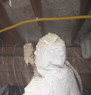 Olympia WA crawl space insulation
