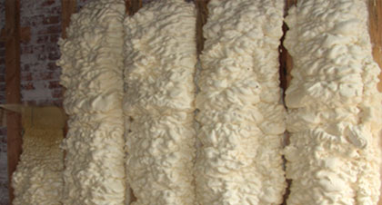 open-cell spray foam for Olympia applications